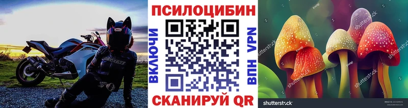 Галлюциногенные грибы ЛСД  KRAKEN маркетплейс  Ноябрьск 